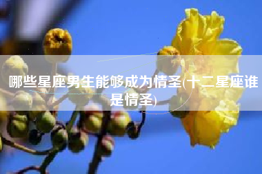 哪些星座男生能够成为情圣(十二星座谁是情圣)