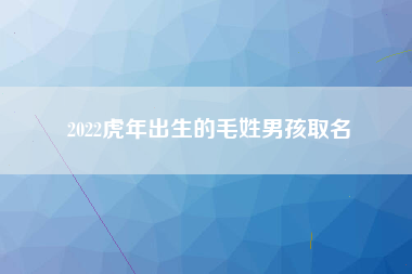 2022虎年出生的毛姓男孩取名