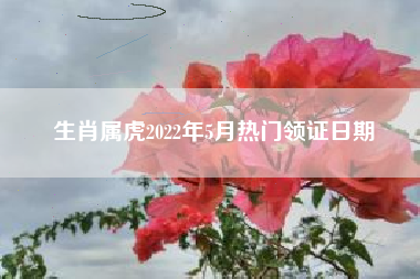 生肖属虎2022年5月热门领证日期