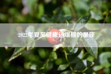 2022年夏至健康运爆棚的星座