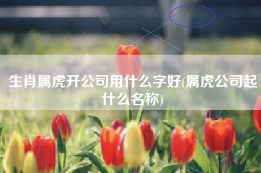 生肖属虎开公司用什么字好(属虎公司起什么名称)