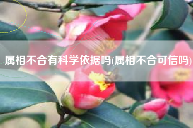 属相不合有科学依据吗(属相不合可信吗)