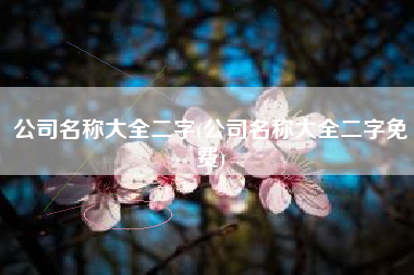 公司名称大全二字(公司名称大全二字免费)