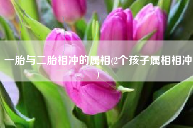 一胎与二胎相冲的属相(2个孩子属相相冲)