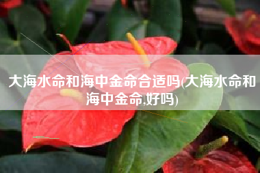 大海水命和海中金命合适吗(大海水命和海中金命,好吗)