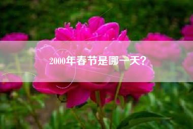 2000年春节是哪一天？