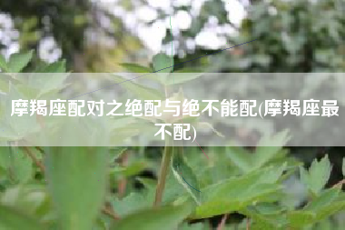 摩羯座配对之绝配与绝不能配(摩羯座最不配)