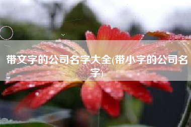 带文字的公司名字大全(带小字的公司名字)