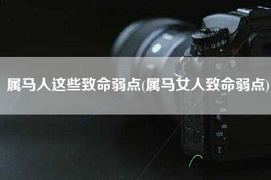 属马人这些致命弱点(属马女人致命弱点)