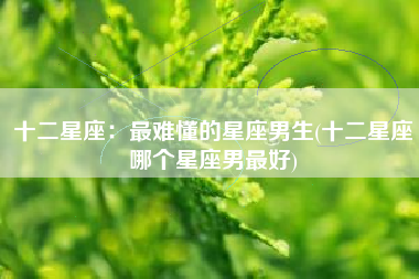 十二星座：最难懂的星座男生(十二星座哪个星座男最好)