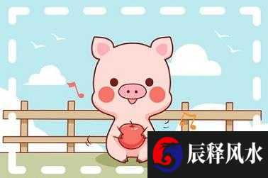 面相分析