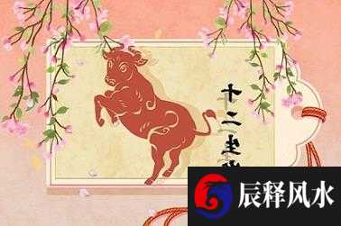 立春在春节前好还是春节后好