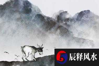 92年属猴何时走大运