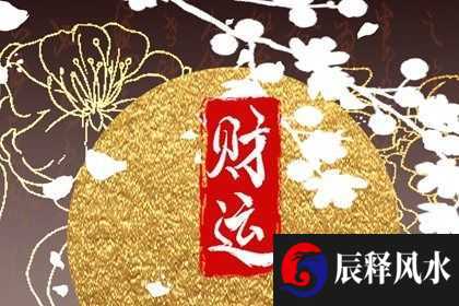 家里养什么鱼招财进宝啊 红尾鸭嘴有强攻市场象征好兆头