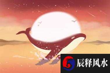 1982年属狗的婚姻 戌狗卯兔六合婚配绝佳