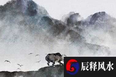 2022虎命太苦 命运波动大晚年运势回转