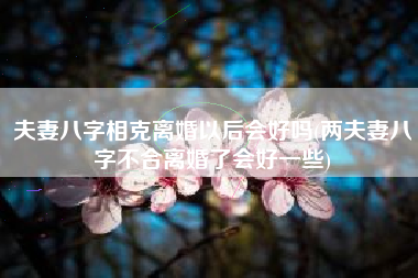 夫妻八字相克离婚以后会好吗(两夫妻八字不合离婚了会好一些)