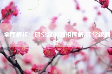 全面解析：印堂纹的面相图解(印堂纹面相)