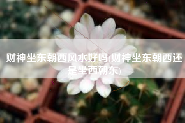 财神坐东朝西风水好吗(财神坐东朝西还是坐西朝东)