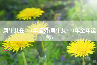 属牛女在2021年运势(属牛女2021年全年运势)
