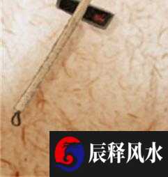 2021年农历五月初三出生的人聪明好学