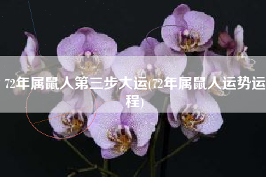 72年属鼠人第三步大运(72年属鼠人运势运程)