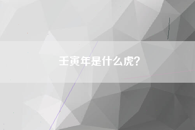 壬寅年是什么虎？