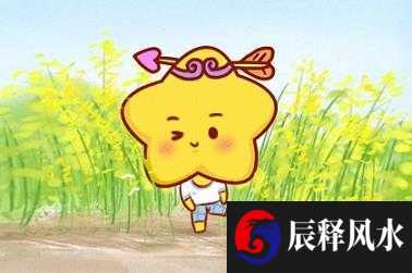 风水