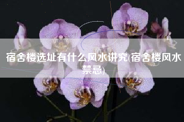 宿舍楼选址有什么风水讲究(宿舍楼风水禁忌)