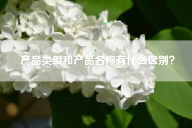 产品类型和产品名称有什么区别？