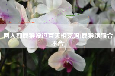 两人都属猴没过百天相克吗(属猴跟猴合不合)
