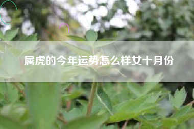 属虎的今年运势怎么样女十月份