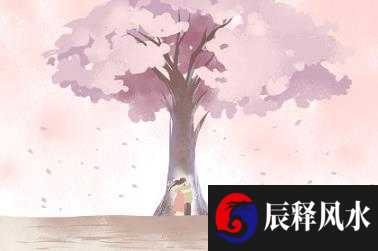 风水