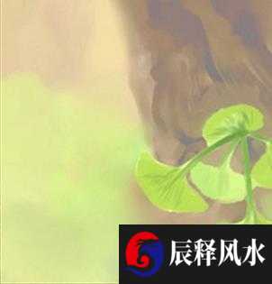 开公司名称起什么比较好 