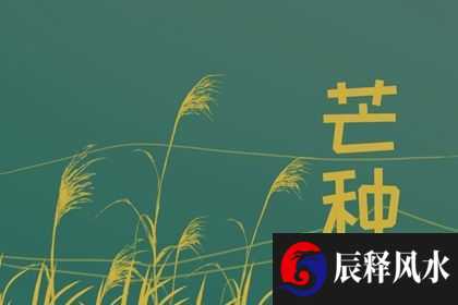 端午节拜神祭祖用两条粽还是3条 根据当地的风俗习惯决定