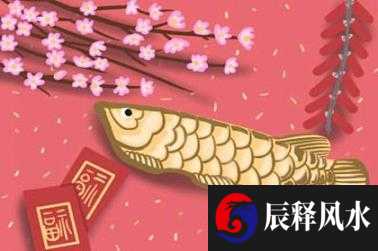 高端大气公司名称