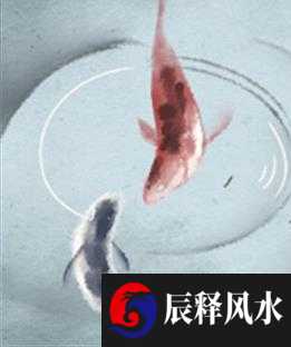 1995年属猪的幸运数字 助力本身运势发展