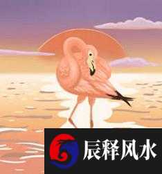 1998年出生属虎的