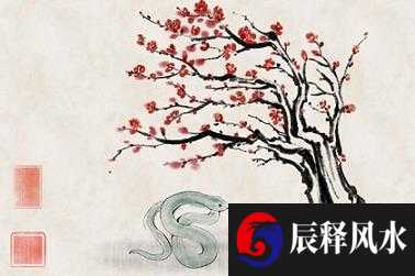 属马和属兔的合不合 中等婚配