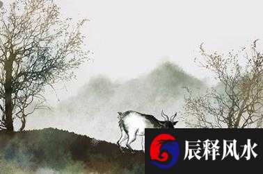 富贵痣