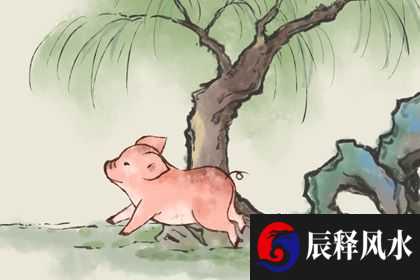 2022虎年7月生肖猪学业状况怎么样 一路上升名列前茅