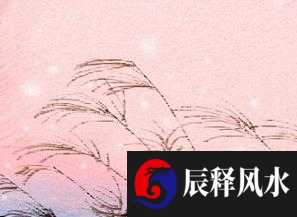 合婚表 属牛的2019年结婚好不好