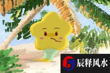 面相204