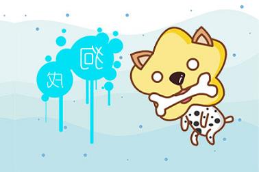给黑白相间的猫起名字（黑白相间猫咪图片）