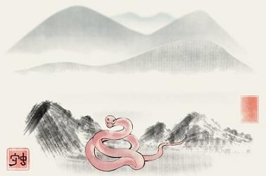 养在八字里什么意思（女命日柱有华盖）