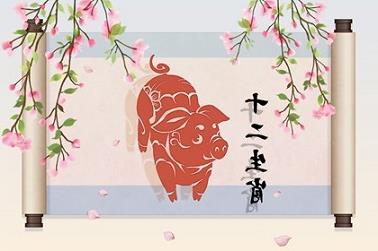 下午5点出生是什么命（属兔女孩酉时出生的命运）