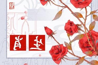 兔最适合的属相（属兔相配的属相）