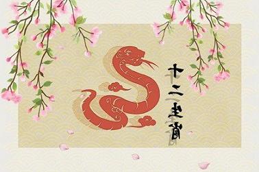 八字当前是什么生肖（闪闪亮亮打一最佳生肖）