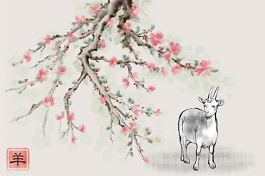 92年的羊是什么命女孩（1966年属马的女性晚年生活）