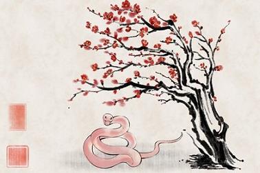 梦到刺猬是什么意思周公解梦，周公解梦梦见刺猬是什么意思